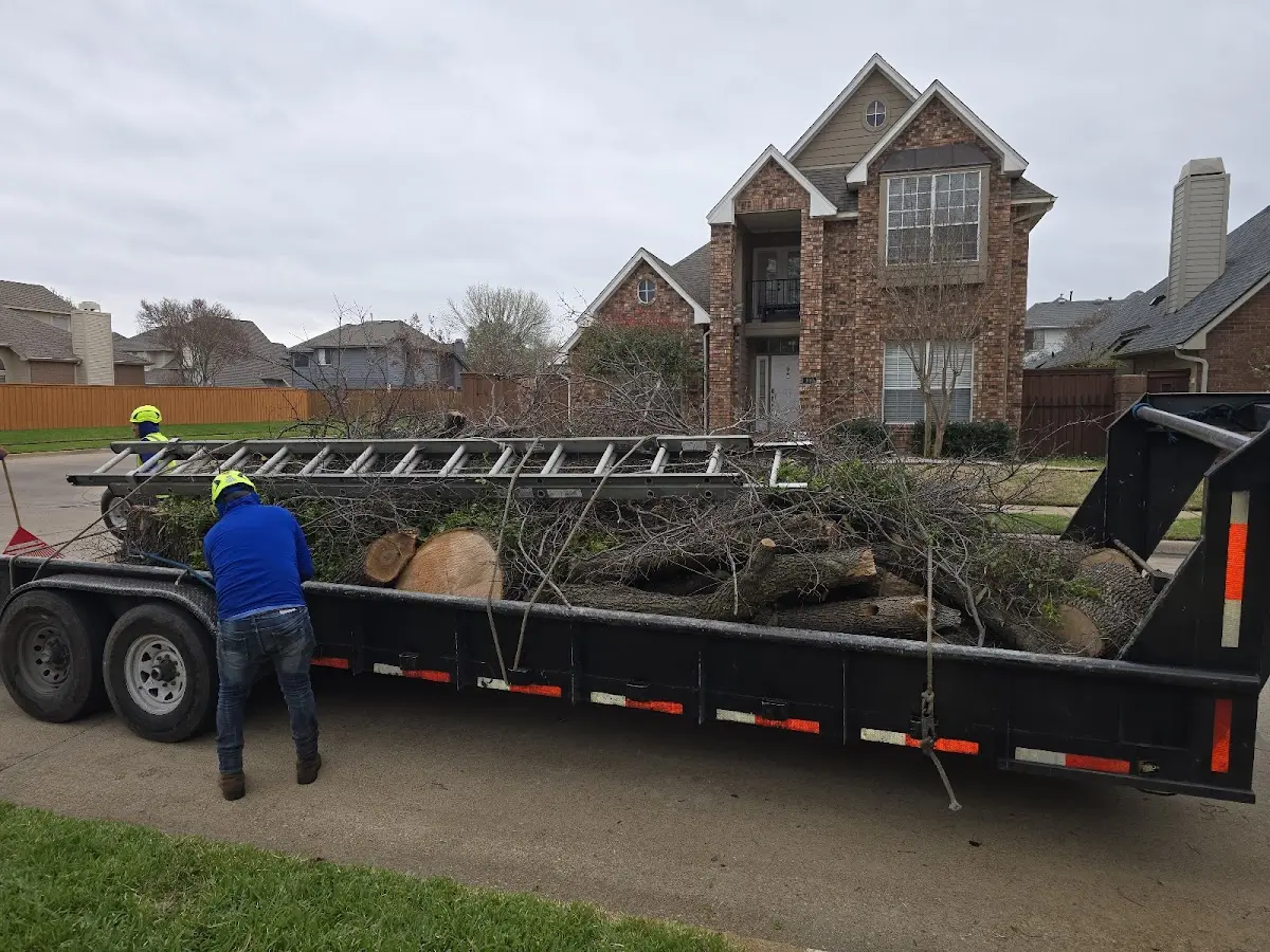 Expert Tree Pest Control with proper safety equipment in South Salem